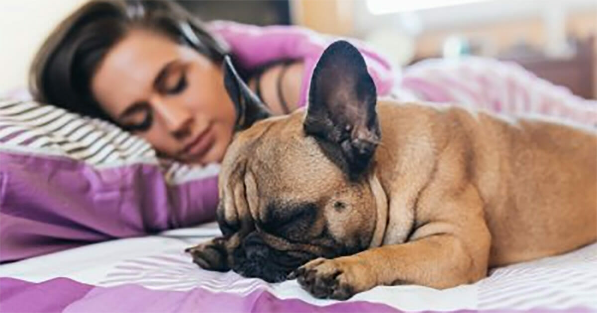 Laut Wissenschaftlern schlafen Frauen besser, wenn ihr Hund statt der