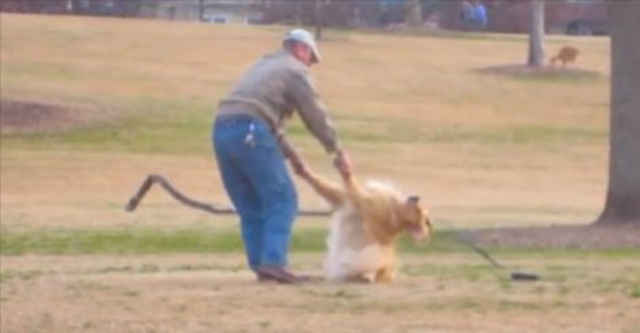 Sie sah einen unbekannten Mann DIES mit seinem Hund im Park tun, darum beschloss sie es zu filmen…