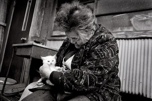 Diese 87-jährige Frau betritt ihre Scheune. Was sie dort findet, verändert ihr ganzes Leben.