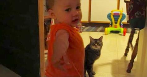 Die zwei haben eine sehr spezielle Morgenroutine – achte auf die Katze, als das Mädchen zu reden beginnt!