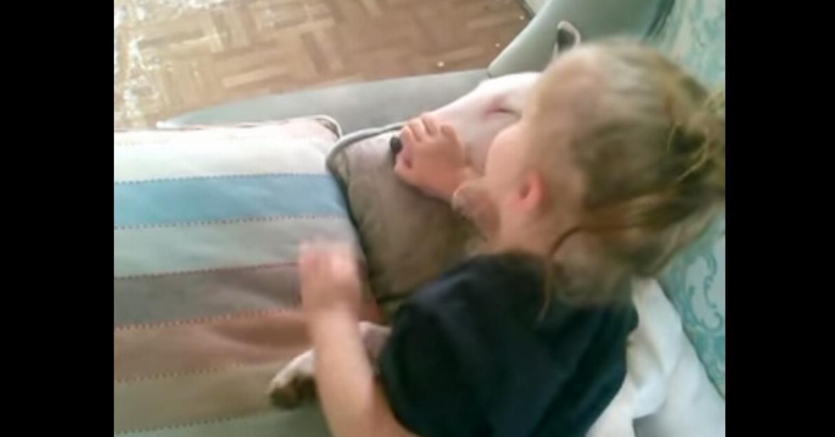 Das kleine Mädchen legt sich zum Bullterrier aufs Sofa. Was die Mutter dann filmt, bringt sie zum Lächeln.	