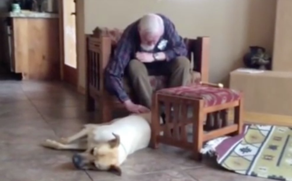 Der Vater leidet an Alzheimer und kann nicht sprechen – als sein Hund kommt, passiert ein kleines Wunder	