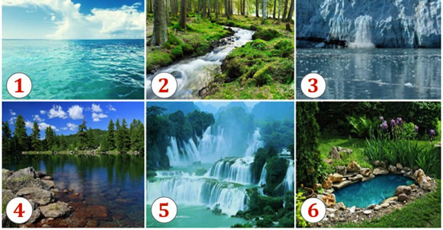Fantastischer Test: Sie wählen einen Teich auf dem Bild und Sie können herausfinden, was Sie erwartet!