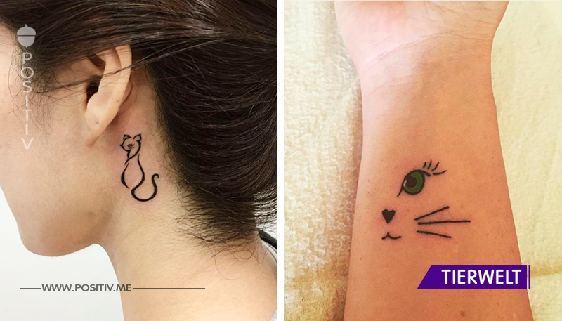 Der neueste Trend: Filigrane Katzen-Tattoos für echt Tierliebhaber! Total edel!	