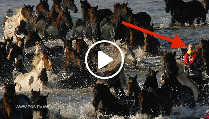 3 Tage warten diese 200 Pferde auf den Tod. Doch 6 Frauen riskieren ihr Leben für ihre Rettung.	