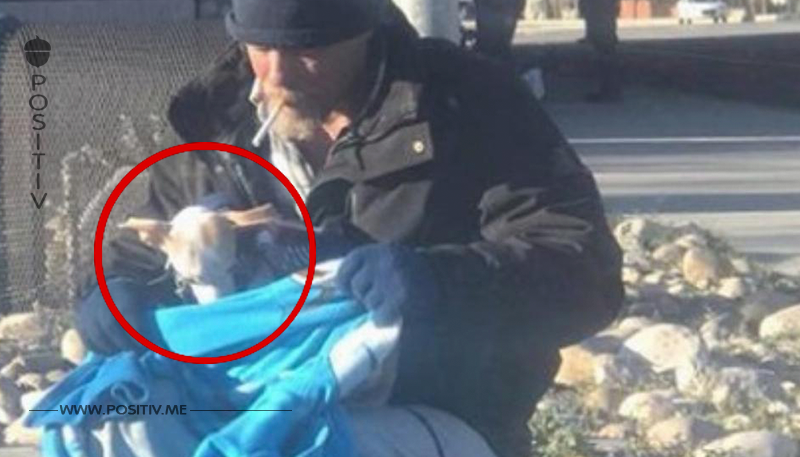 Hund wird aus Auto geworfen und Obdachloser eilt zu Hilfe.	