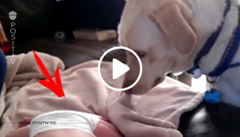 Die Kamera filmt heimlich, was der Hund macht, als das Baby schläft. Bei 0:04 schmelze ich dahin.	