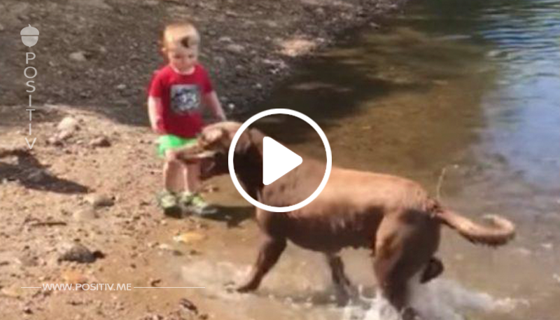 Das Baby spielt gemeinsam mit dem Hund – und es ist eines der süßesten Videos, die wir je gesehen haben	