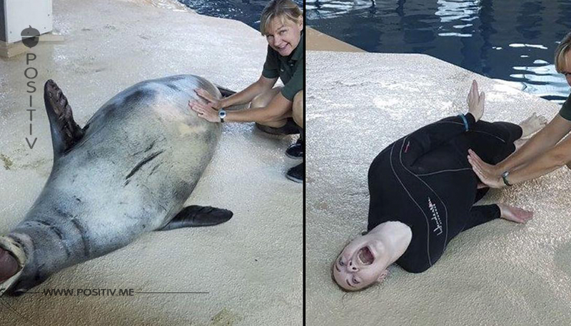 Zoowärter stellen auf lustigen Fotos Tiere nach.	