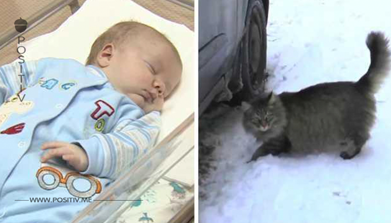 Das Baby wurde in der Kälte halberfroren gefunden – was diese Katze macht, wurde weltweit gefeiert!	