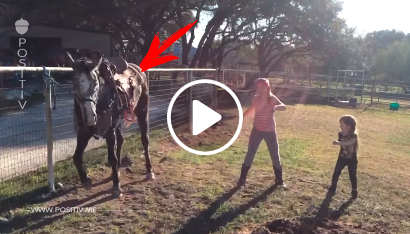 Die Mädchen fangen an, am Feld zu tanzen – nun schau dir die Reaktion des Pferdes an	