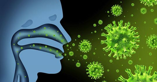 China: Neues Influenza Virus entdeckt