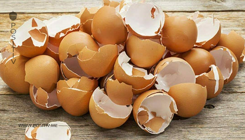 9 Gründe, warum du Eierschalen nicht wegschmeißen solltest