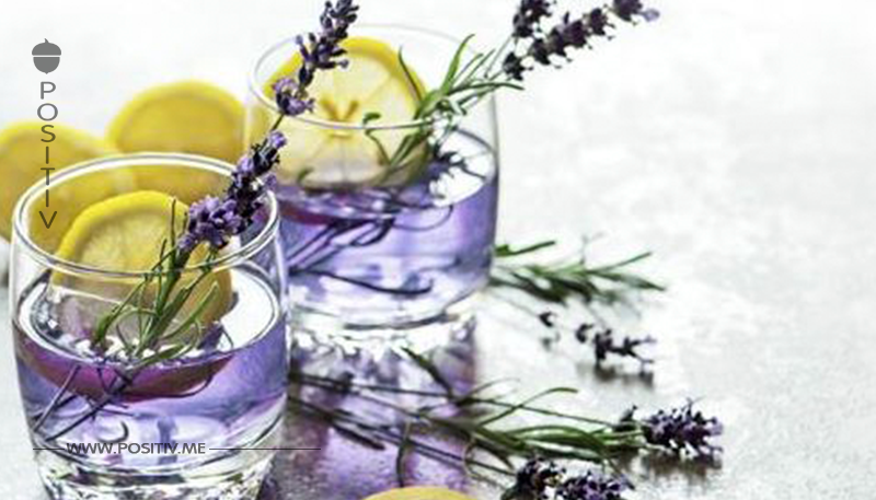 Besser schlafen mit Lavendel Limonade: Darum hilft sie dir beim
