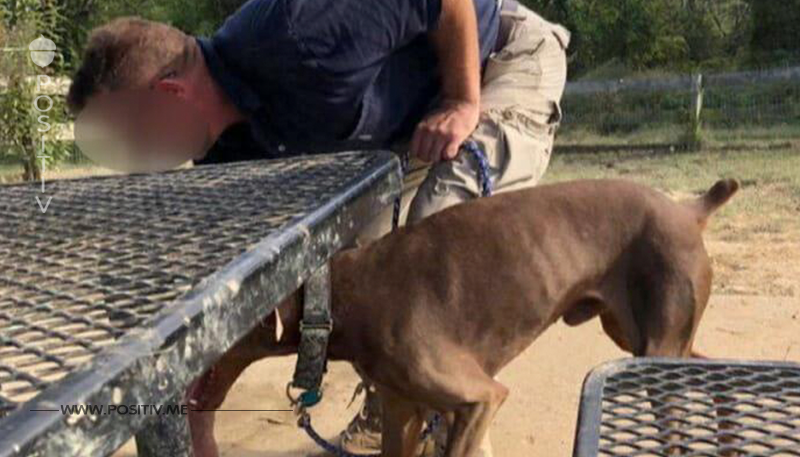 Tierquäler foltert Hund brutal mit Wasserschlauch in der Kehle – weil er nicht gehorcht