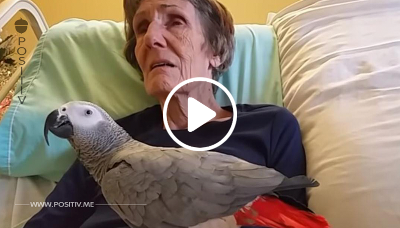 Sterbende Frau verabschiedet sich von ihrem Papagei.