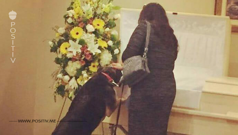 Beerdigungsinstitut erlaubt Hund, Herrchen Lebewohl zu sagen