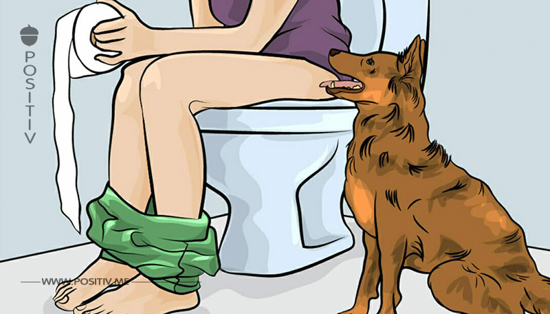 Warum dir dein Hund zur Toilette folgt – Grund ist wichtiger als du denkst