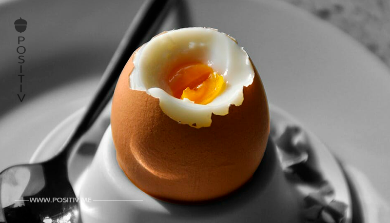 Forschung: So reagiert Ihr Körper, wenn Sie jeden Tag zwei Eier essen