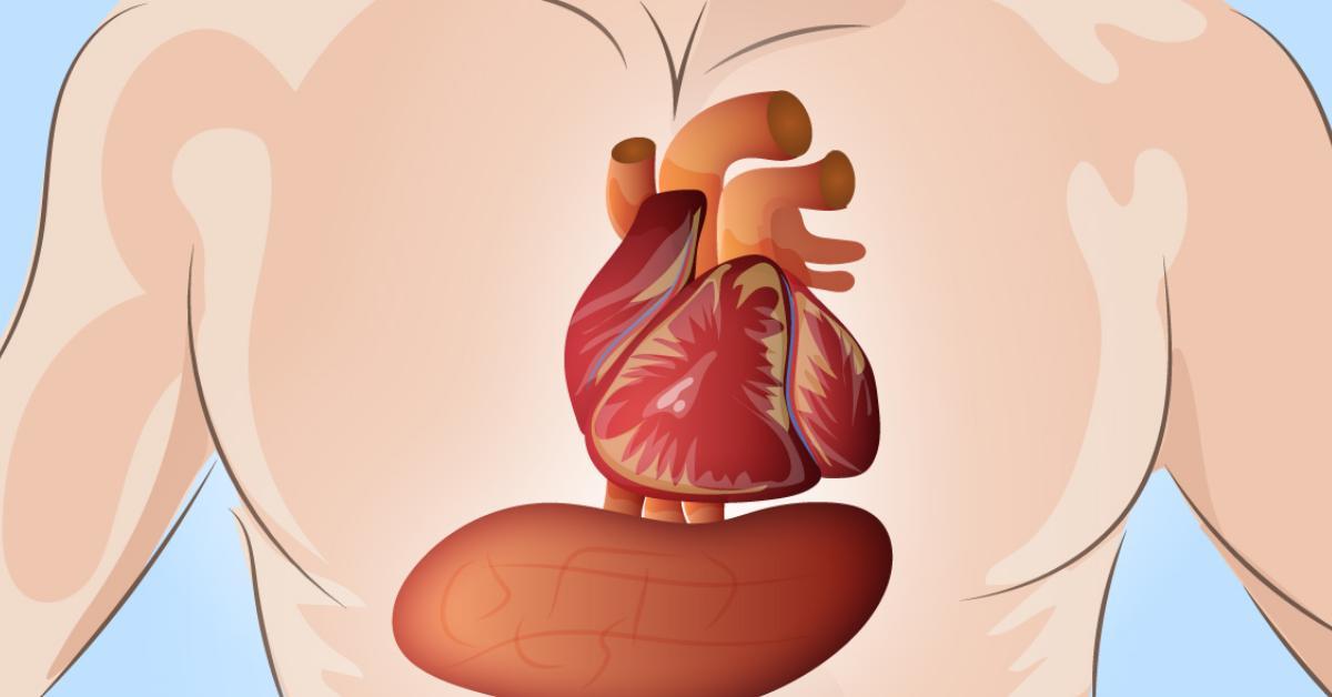 6 Symptome, die einen Monat vor einem Herzinfarkt auftreten.