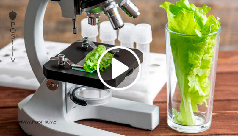 10 bizarre Erfindungen der Lebensmittel-Industrie.
