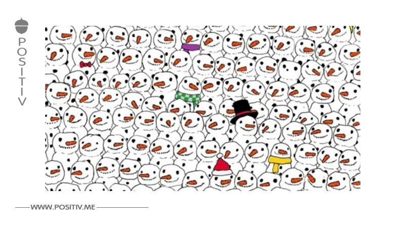 Niemand aus meiner Familie bekam es raus: Findest du den Panda zwischen den Schneemännern?