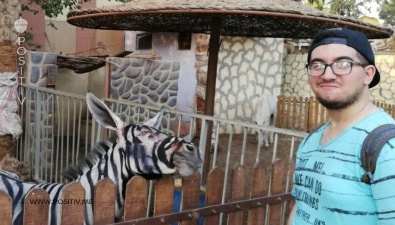 Zoo bemalt Esel als Zebra, um Zebrapark zu eröffnen – nun kochen Zoobesucher vor Wut