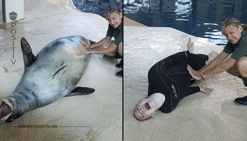 Zoowärter stellen auf lustigen Fotos Tiere nach.