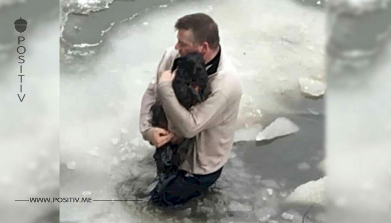 Lasst uns diesen Helden ehren, der einen ertrinkenden Hund aus dem bitterkalten See gerettet hat