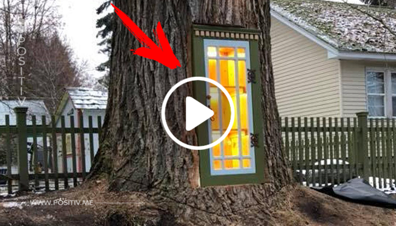 Frau weigert sich, 110 Jahre alten Baum zu fällen.