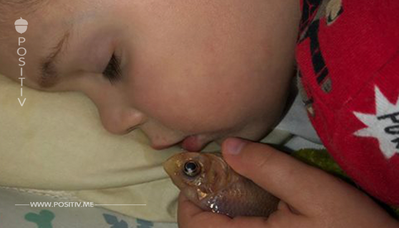 TÖDLICHE TIERLIEBE Junge kuschelt ganze Nacht mit Goldfisch …