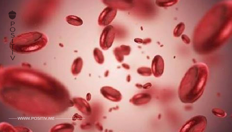 Versteckte Gefahr Blutarmut: Anämie bei Frauen