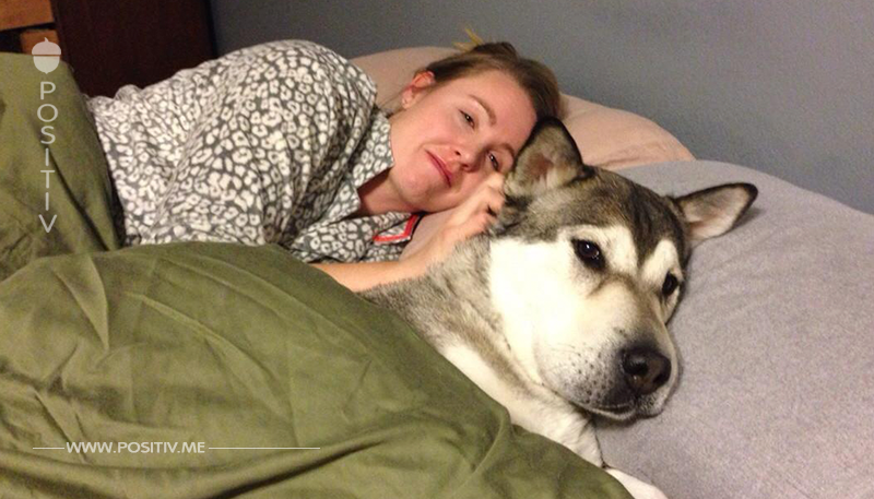 7 Gründe, deinen Hund ins Bett zu lassen.