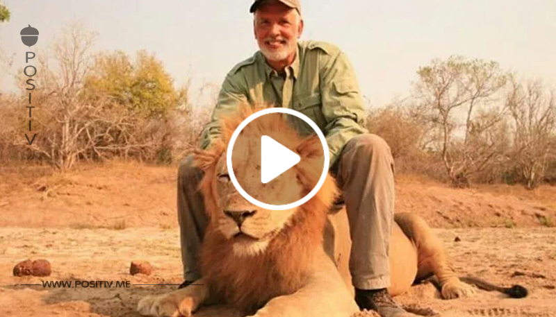 Trophäenjäger erschoss schlafenden Löwen und posiert dann mit dem Tier, um damit zu prahlen