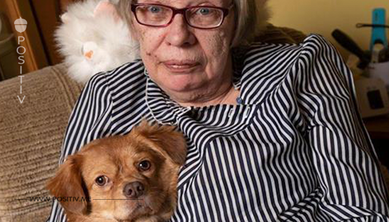 Stadt wirft Rentnerin (69) aus Altenheim – wegen ihres kleinen Hundes