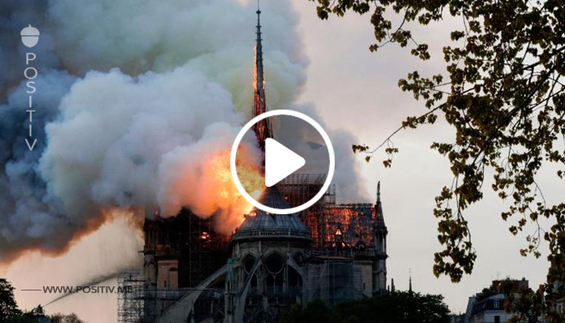 Weltberühmte Kathedrale Notre Dame in Flammen!