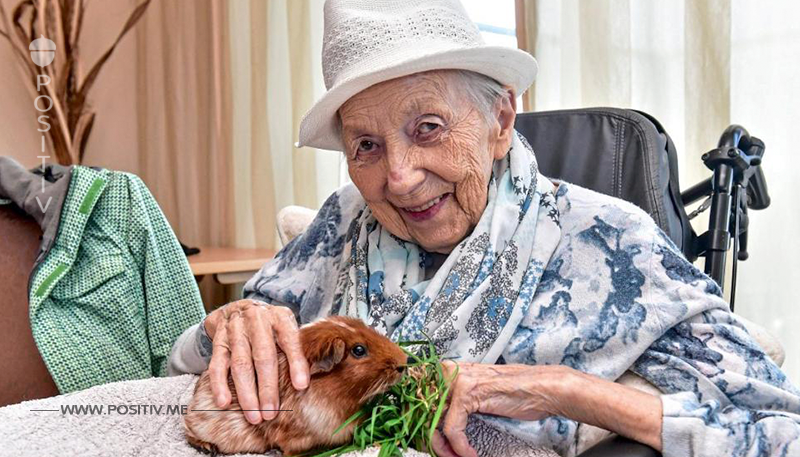 Seniorenheim kämpft mit Streichelzoo-Therapie gegen Demenz