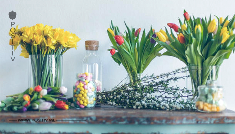 Osterstrauß: Tipps zum Blüten Hingucker im Wohnzimmer