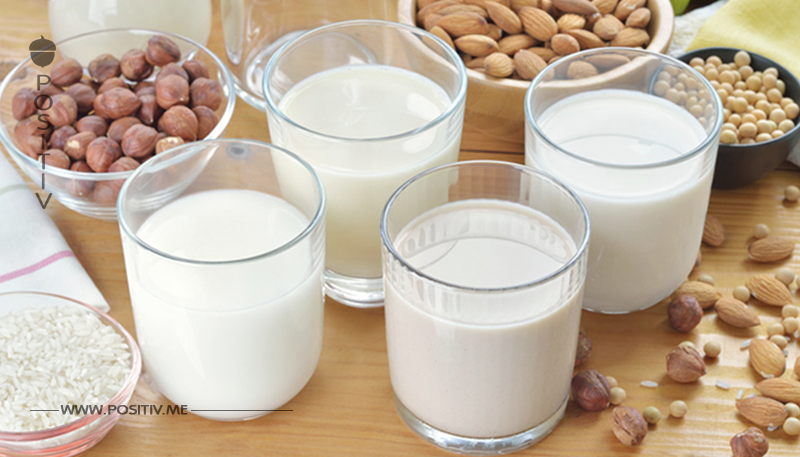 Pflanzendrinks: Wie gesund sind die Milch Alternativen?
