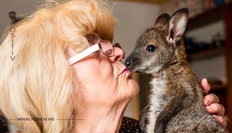 Mein sprunghaftes Leben mit Känguru „Lisa“