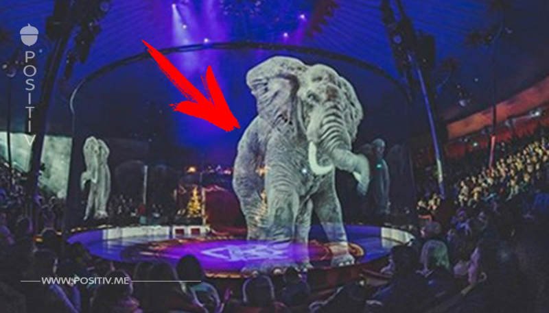 Circus Roncalli verzichtet auf echte Tiere in Show und zeigt erstmalig Tier-Hologramme