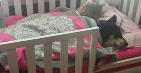 Frau sucht geliebten Hund und nimmt alles auf, als sie sieht, dass er mit ihrer Tochter im Bettchen liegt