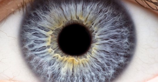 Augeninfarkt – plötzlich blind