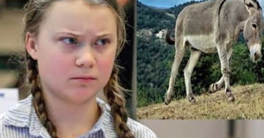 Verein bietet Thunberg Esel für Madrid Reise an