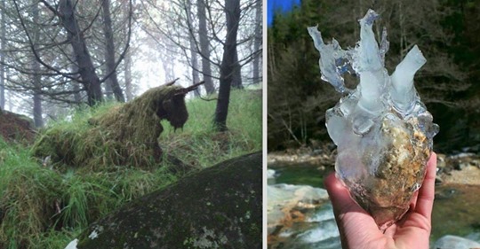 18 optische Täuschungen, an denen man sich nicht sattsieht