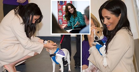 Fotos von Meghan Markles Tierrettungsbesuch, die am selben Tag veröffentlicht wurden, an dem Kate Middleton die Kinderschutzkampagne startet