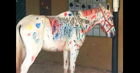 Lehrer bringen Schüler dazu, anstatt auf eine Leinwand auf ein Pferd zu malen – lösen damit Debatte aus
