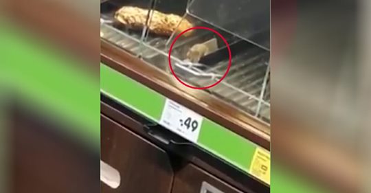Mäuse Festmahl in Essener Supermarkt: Nagetier wuselt sich durch Brot & Brötchen