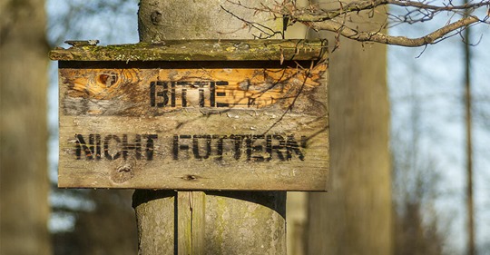 Trotz Verbots: Besucher füttern Jungtiere im Tiergehege Oberhausen zu Tode – mit mitgebrachtem Futter