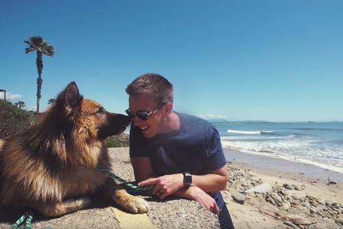 Einst vernachlässigter Deutscher Schäferhund jault vor Freude, als er zum ersten Mal den Ozean zu Gesicht bekommt